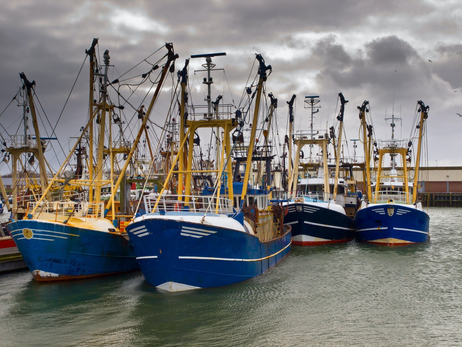 modern fishing fleet